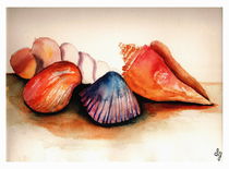 Shells of Summer by Sandra Gale