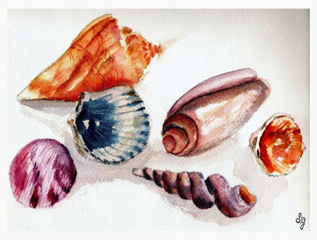 Shells2