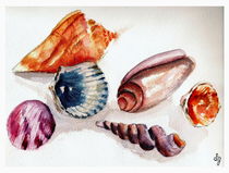 Summer Sea Shells by Sandra Gale
