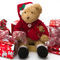 Teddy-at-christmas0005a