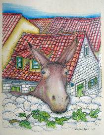 Donkey by Kresimir Bajsic