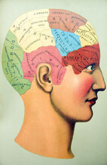 Phrenology by Mark Strozier