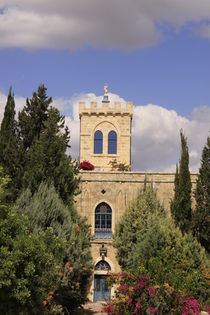 The Salesian Monastery at Beit Gemal by Hanan Isachar