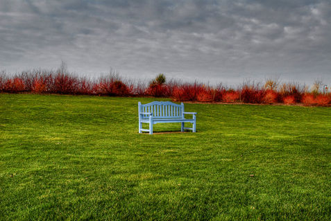 Blue-bench