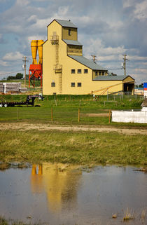 Last of the Grain Elevators, Balzac, Alberta by Louise Heusinkveld