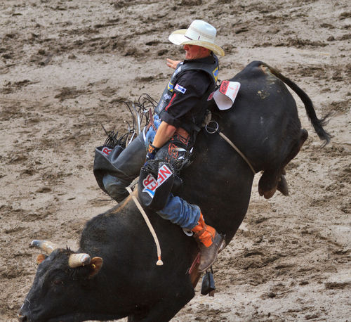 Bull-riding0718