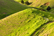 Rolling Hills of the New Zealand Landscape by Louise Heusinkveld