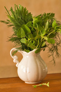 Fresh Herbs for the Kitchen by Louise Heusinkveld