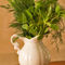 Fresh-herbs4587
