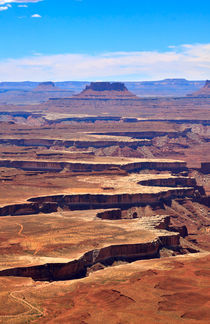 Canyonlands from the Green River Overlook by Louise Heusinkveld