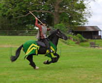 Charging Knight on Horseback von Louise Heusinkveld