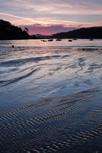 Dawn Light at South Sands by Louise Heusinkveld