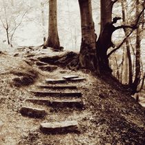 Stairway to autumn by Miro Polca