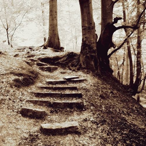 Stairs-into-autumn0