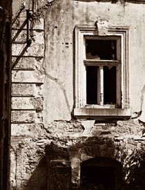Window by Miro Polca