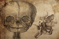 Antique Skull Collage von Mark Strozier