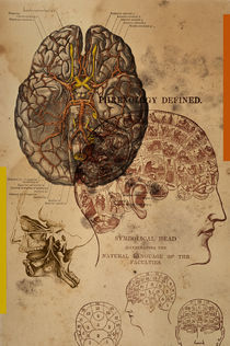 Phrenology Defined by Mark Strozier