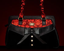 Handbag II by Marco Moroni