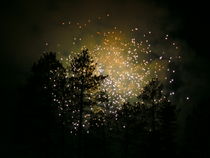 Fireworks von mckenna-klein