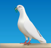 dove of peace by Miro Kovacevic