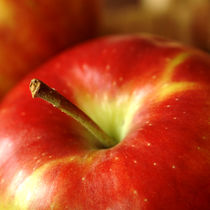 Apfel von Franziska Giga Maria