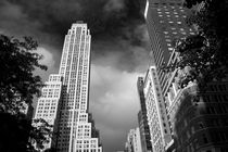 Manhattan View by Jadran Boban