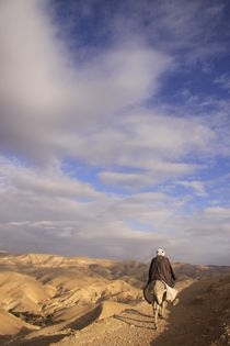 A view of the Judean Desert by Hanan Isachar