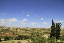 Judean Mountains, a view from Tel Ziph von Hanan Isachar
