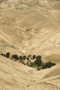 Judean desert, a view of Wadi Qelt by Hanan Isachar
