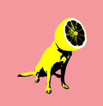 'Lemon' by Ali GULEC