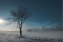 Winter by Manfred Hartmann
