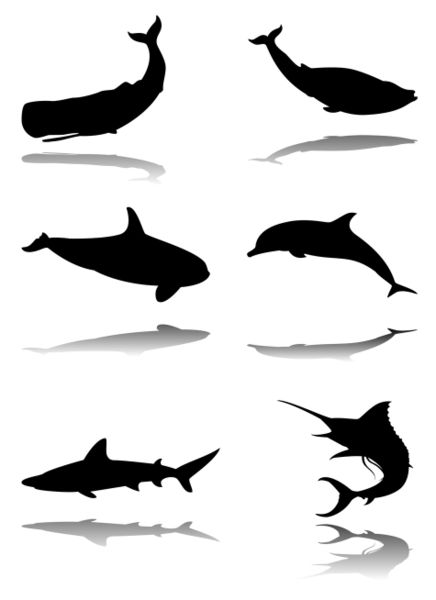 Set-of-marine-animals