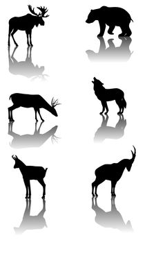 Set of mountain animals by William Rossin