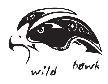 Wild-hawk