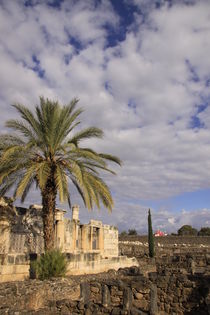 Sea of Galilee, the ancient Synagogue in Capernaum von Hanan Isachar