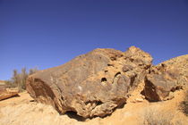 Negev, Petrified trees in the Large Crater by Hanan Isachar