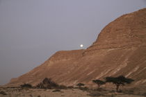 Negev, moonrise at Barak Canyon by Hanan Isachar