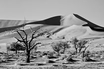 Wundersame Namib  von Jürgen Klust