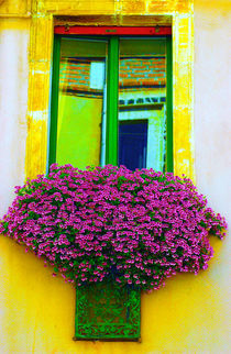 Window Decor by JACINTO TEE