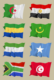 Eight African flags by William Rossin