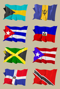 Eight Caribbean flags by William Rossin