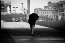 Caught In The Rain von Joaquin Novak-Zarate
