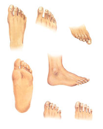 Body parts: feet by William Rossin