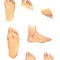 Body-parts-feet