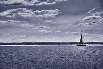 The Lone Sailer by Tristan Millward