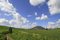 Israel, Jezreel valley, a view of Mount Tabor by Hanan Isachar