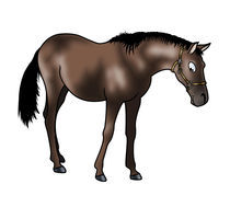 Brown horse von William Rossin