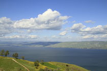 A view of the Sea of Galilee  by Hanan Isachar