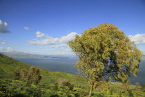 A view of the Sea of Galilee by Hanan Isachar