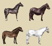 Four horses von William Rossin